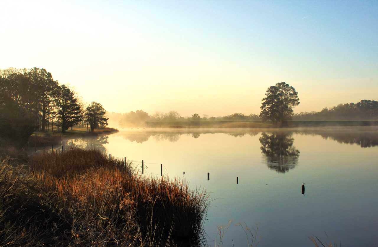 Peaceful-Morning-at-the-Lake